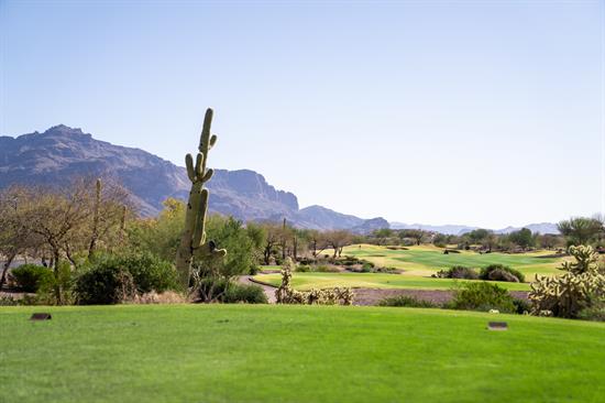 arizona-golf-course-view