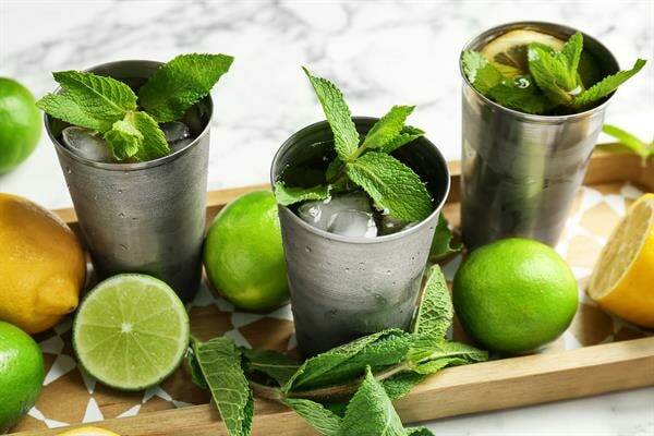 classic-mint-julep