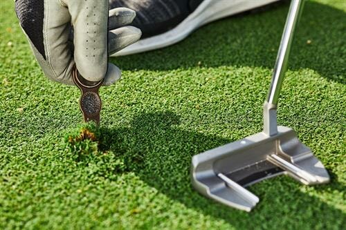 repairing-ball-marks