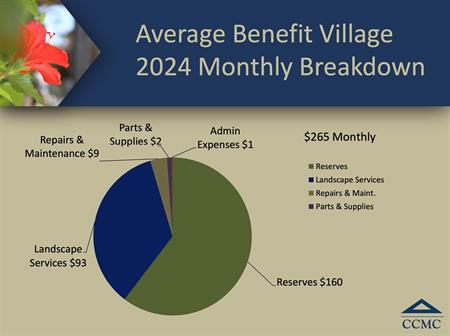 Benefit_Village_-_2024%20Small
